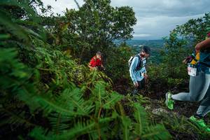 BIB: 
                            <button type="button" onclick="openModal(26196695)" class="btn btn-primary btn-sm float-right btn-popup" data-toggle="modal" data-target=".modal-high-quality">
                        <i class="fas fa-shopping-cart"></i> Add to Cart
                    </button>
                                            <button type="button" onclick="isThisMe(26196695, true)" class="btn btn-success btn-sm float-right btn-popup btn-isme hidden" data-toggle="tooltip" data-placement="bottom" title="นี่คือรูปของคุณใช่ไหม คลิกที่นี่เพื่อเอาเข้าอัลบั้ม">
                        <i class="fas fa-plus"></i> Add to album
                    </button>
                    <button type="button" onclick="isThisMe(26196695, false)" class="btn btn-warning btn-sm float-right btn-popup btn-isnotme hidden">
                        <i class="fas fa-ban"></i> Remove from album
                    </button>